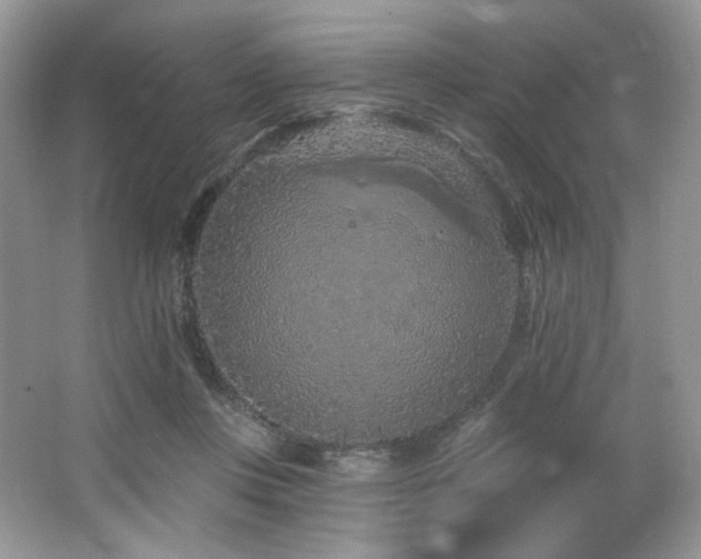 X0000065260359200602171501