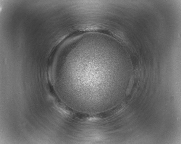 X0000065260360200602171501