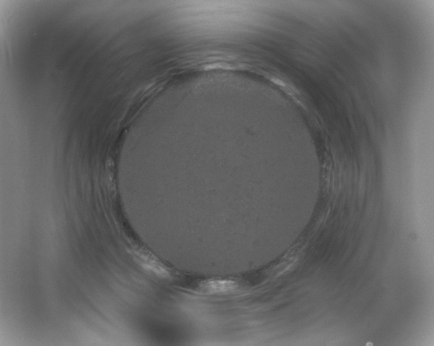 X0000065260361200602171501