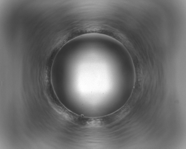 X0000065260362200602171501