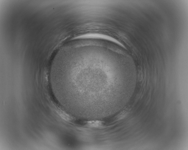 X0000065260363200602171501