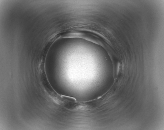 X0000065260364200602171501