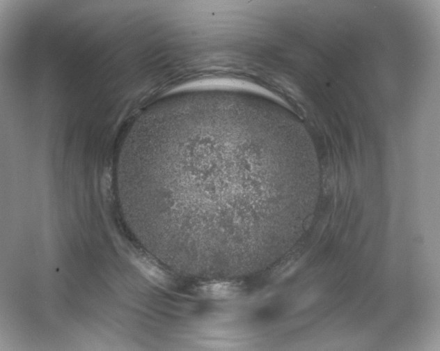 X0000065260365200602171501