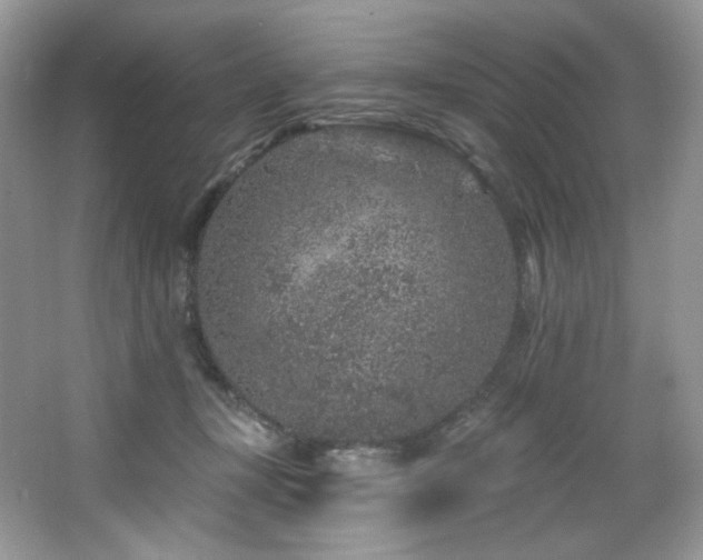 X0000065260367200602171501