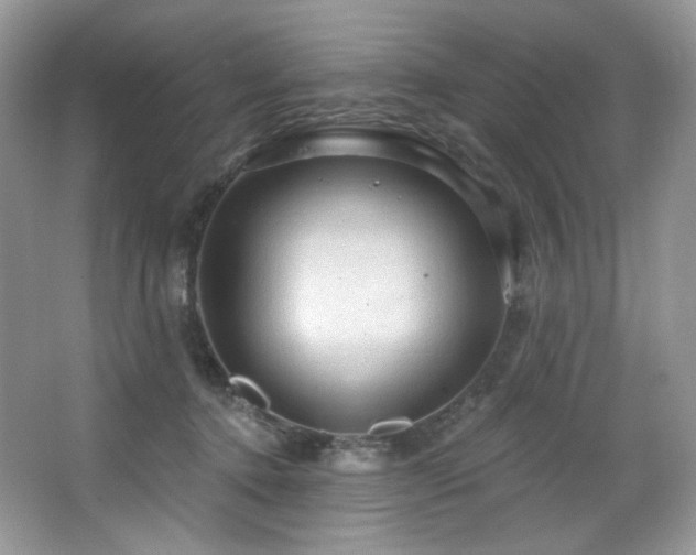 X0000065260368200602171501