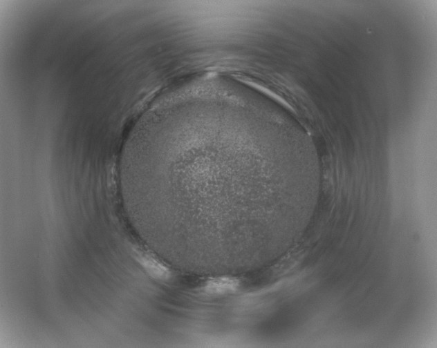 X0000065260369200602171501