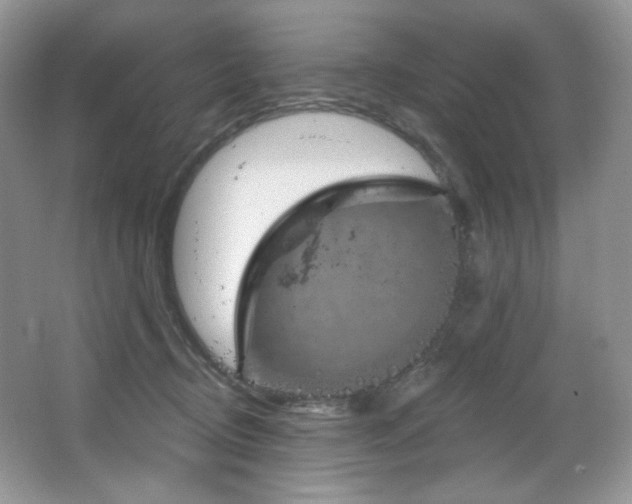 X0000065260370200602171501