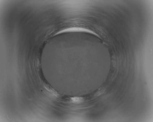 X0000065260371200602171501