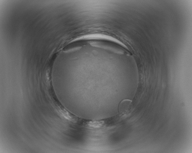 X0000065260373200602171501