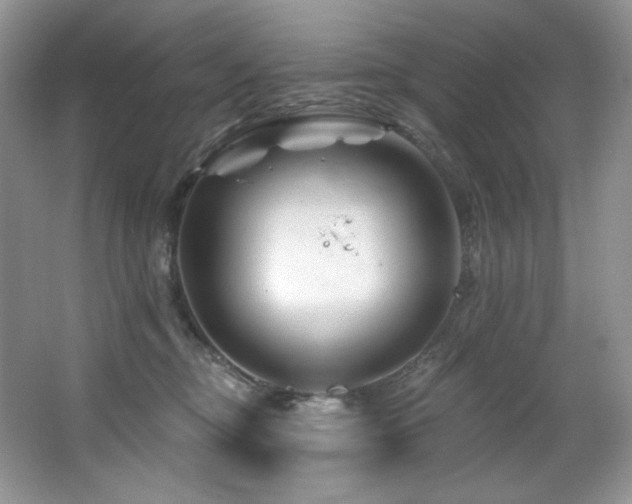 X0000065260374200602171501