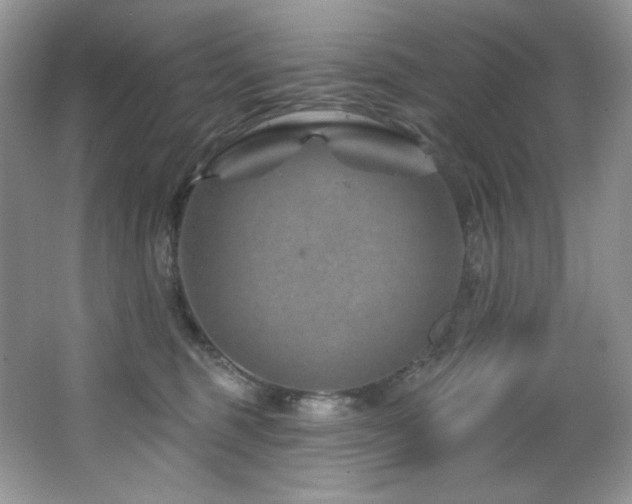 X0000065260375200602171501