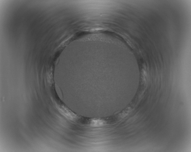 X0000065260376200602171501