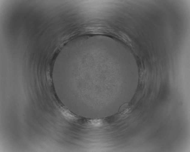 X0000065260377200602171501