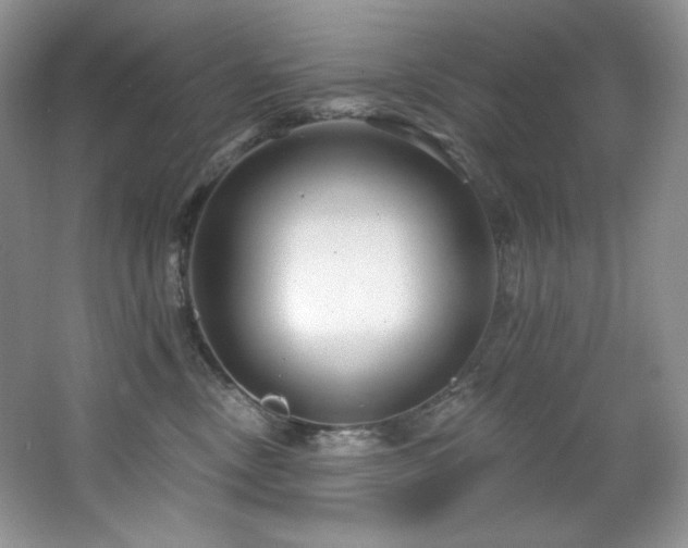 X0000065260378200602171501