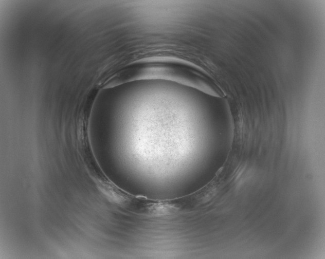 X0000065260379200602171501