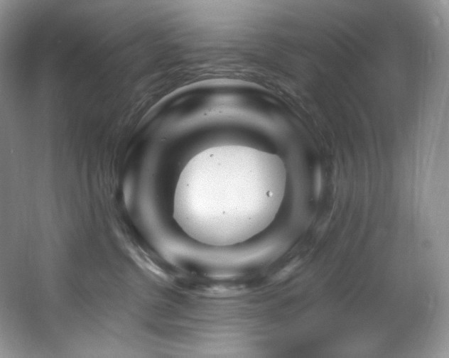 X0000065260380200602171501