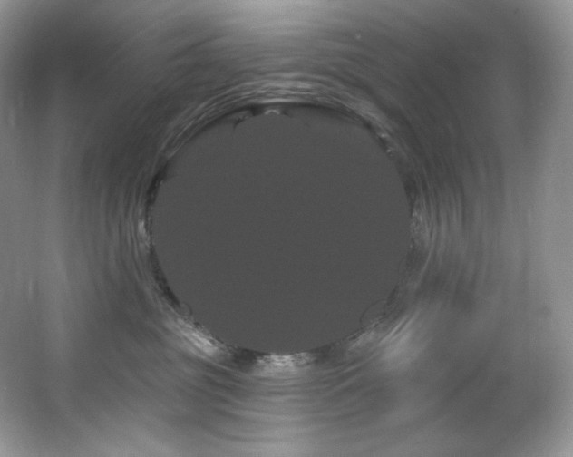 X0000065260381200602171501