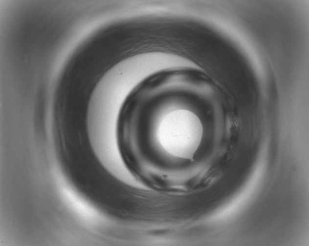 X0000065260382200602171501