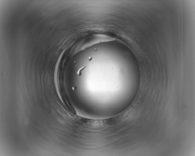 X0000065260384200602171501