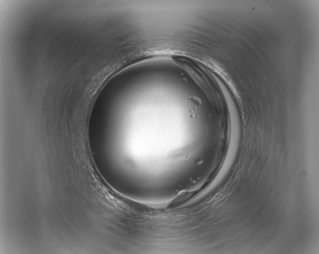 X0000065260385200602171500