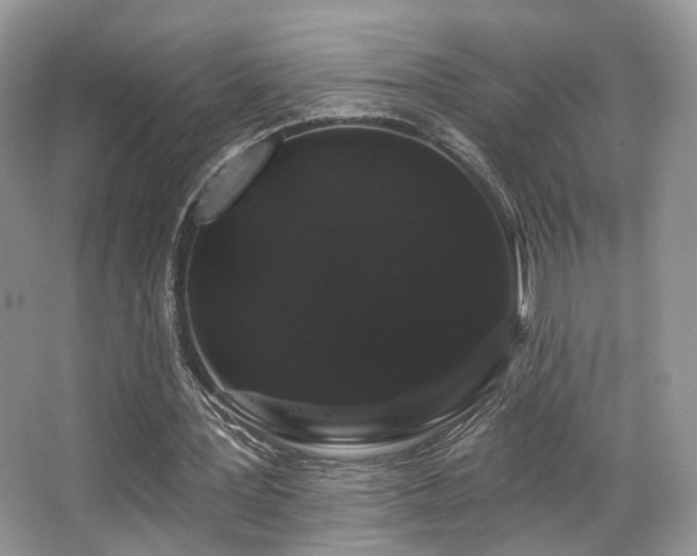 X0000065260387200602171500