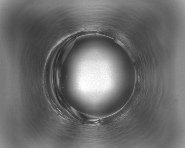 X0000065260388200602171500