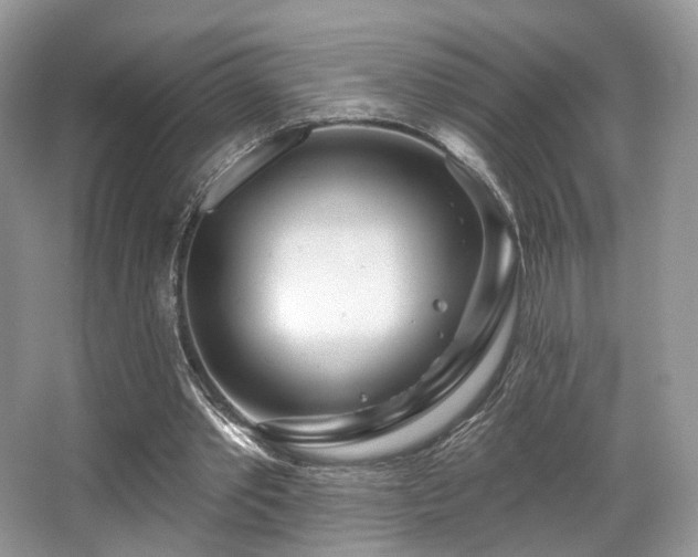 X0000065260389200602171500