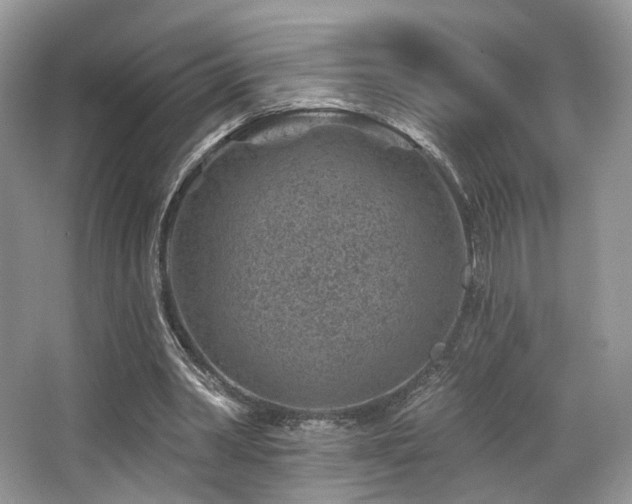 X0000065260390200602171500