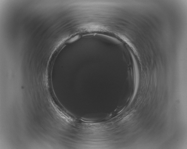 X0000065260391200602171500