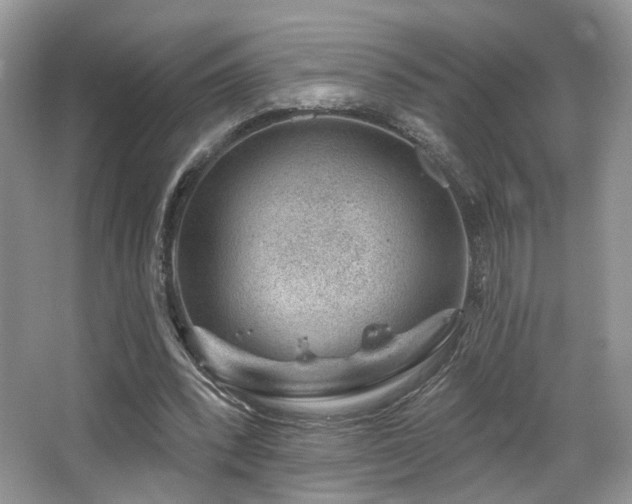 X0000065260392200602171500