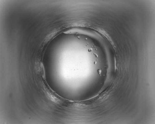 X0000065260393200602171500