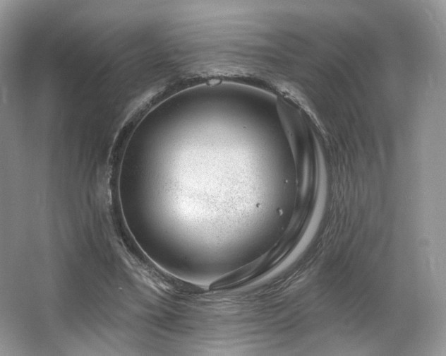 X0000065260395200602171500