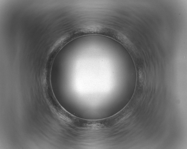 X0000065260396200602171500