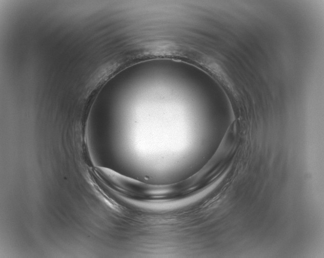 X0000065260397200602171500