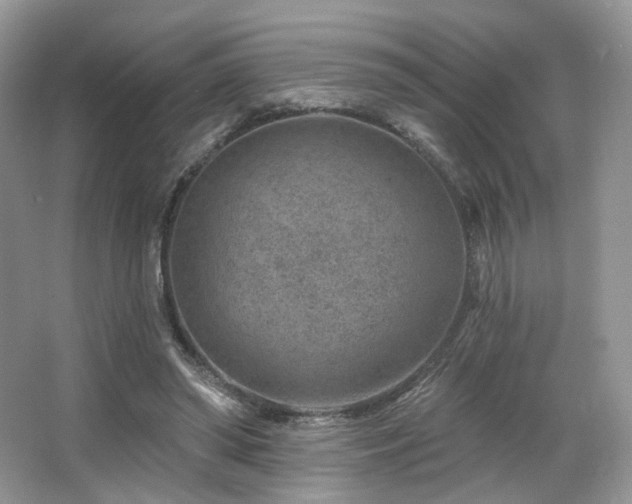 X0000065260398200602171500