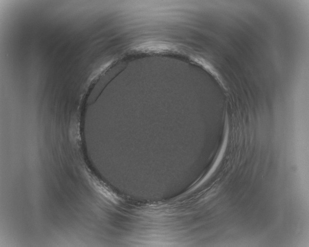 X0000065260399200602171500