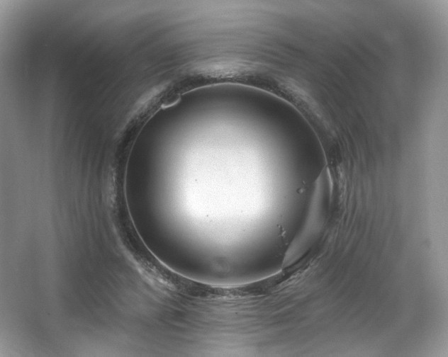 X0000065260400200602171500