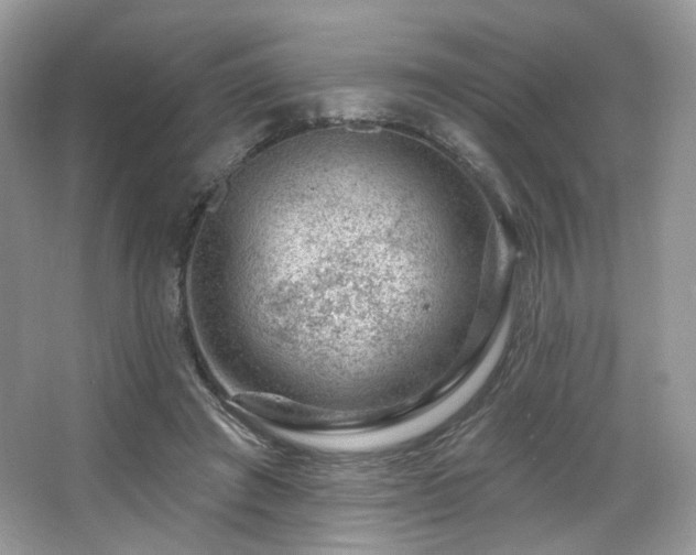 X0000065260401200602171500