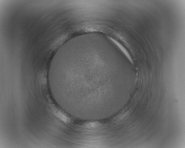 X0000065260402200602171500