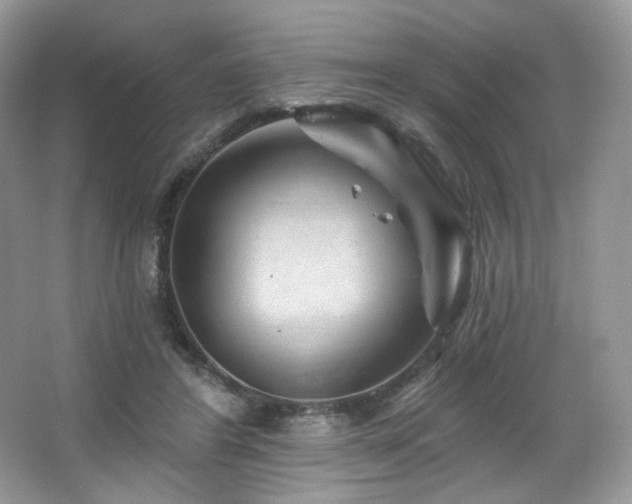 X0000065260404200602171500