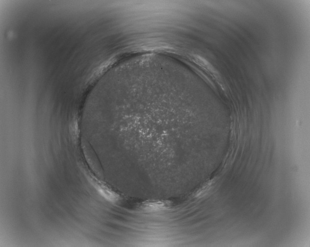 X0000065260405200602171500