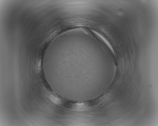 X0000065260406200602171500