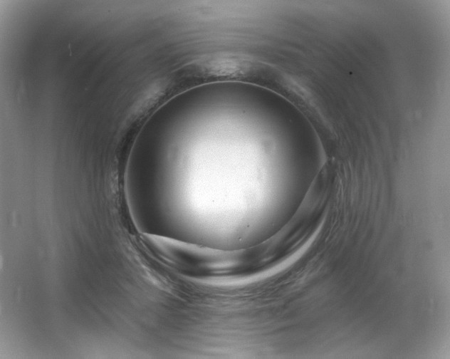 X0000065260407200602171500