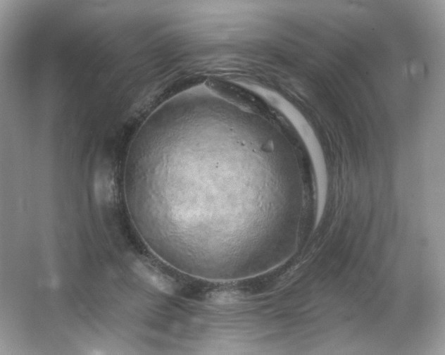 X0000065260408200602171500