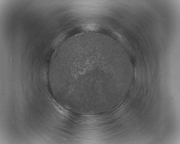 X0000065260409200602171500