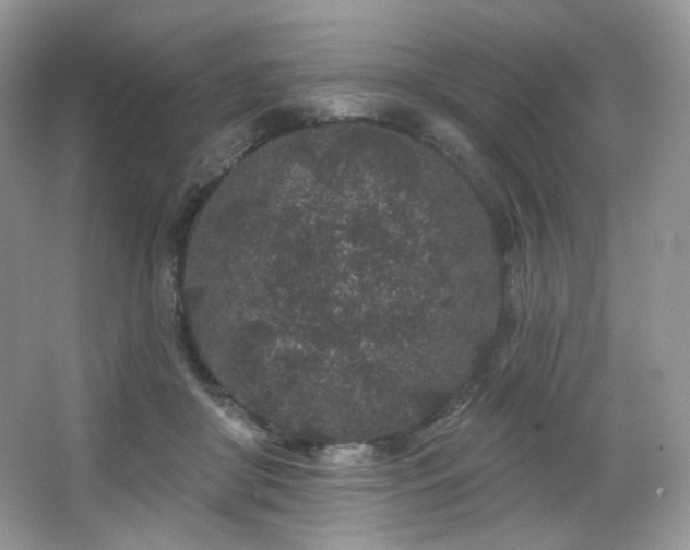 X0000065260410200602171500