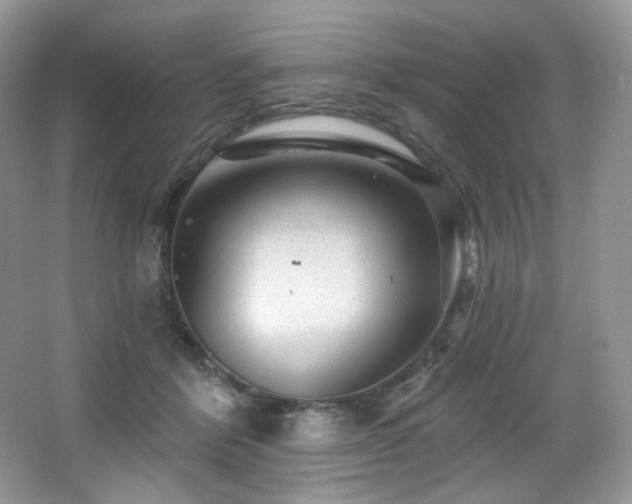 X0000065260412200602171500