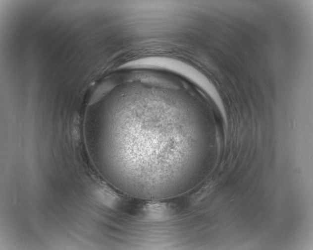 X0000065260413200602171500