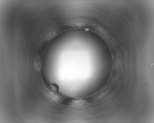 X0000065260414200602171500