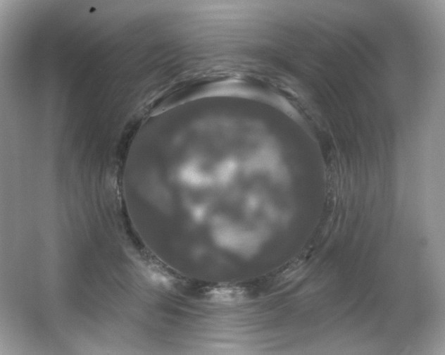 X0000065260415200602171500